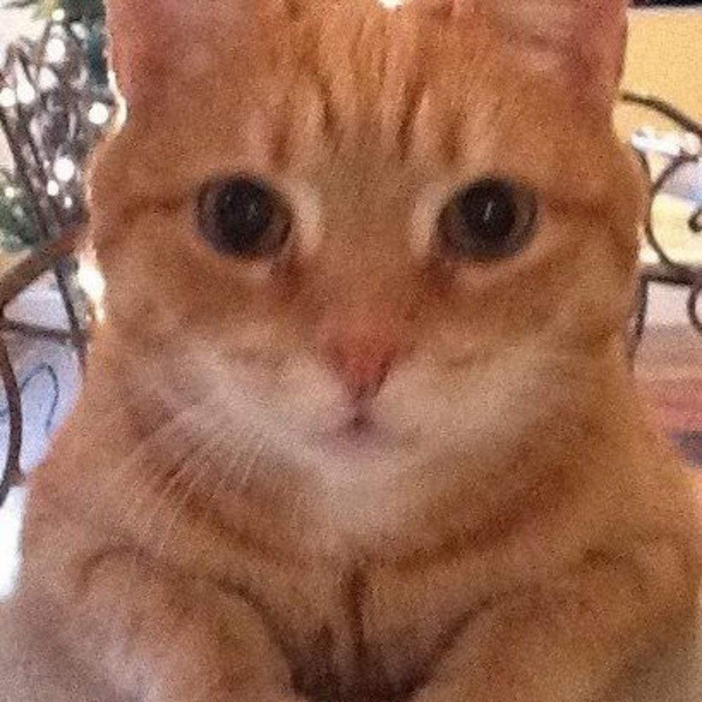 Meet your Posher, Cheryl